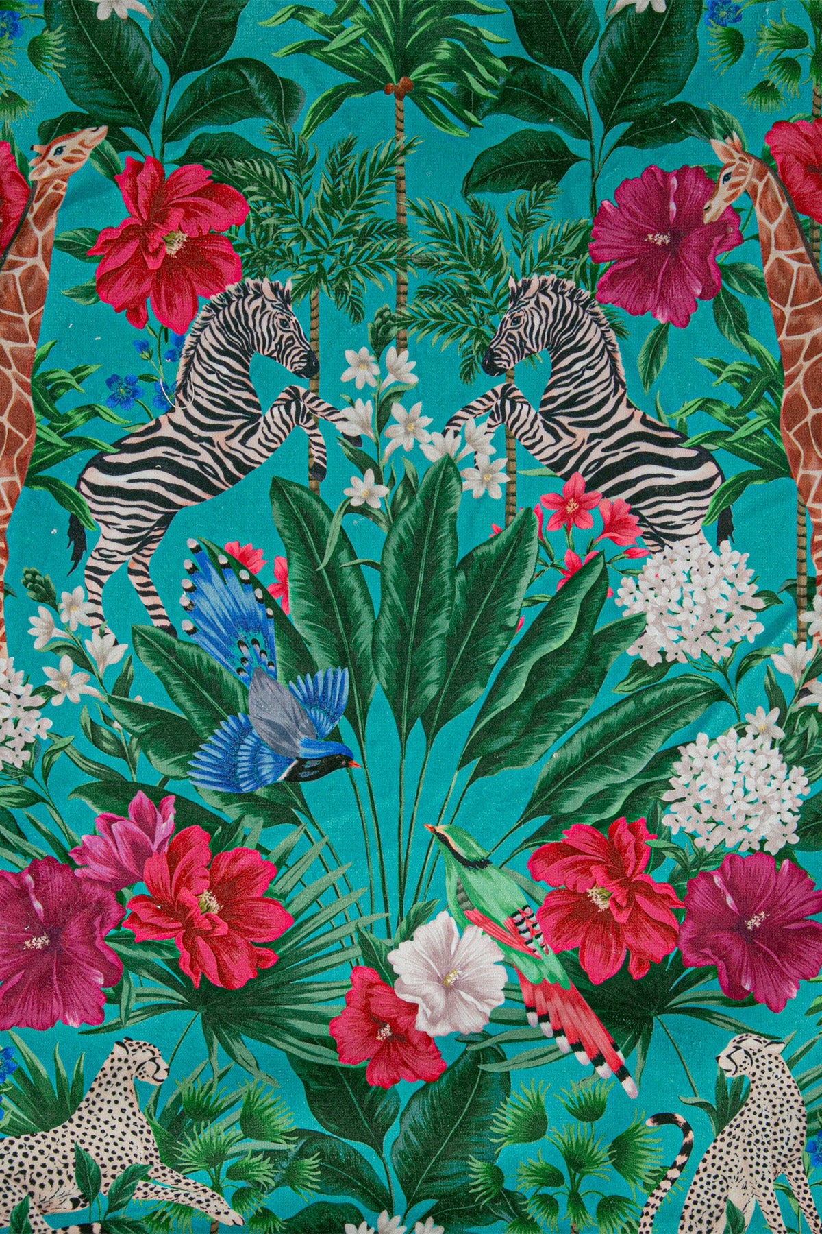 Kadife Kırlent Kılıfı Zoo Yeşil Pembe V1 50x50