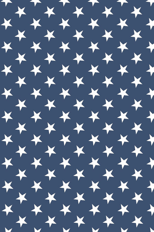 Premier Home Yıldız Desenli Fon Perde Lacivert 170