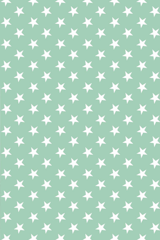 Premier Home Yıldız Desenli Fon Perde Mint 170X270
