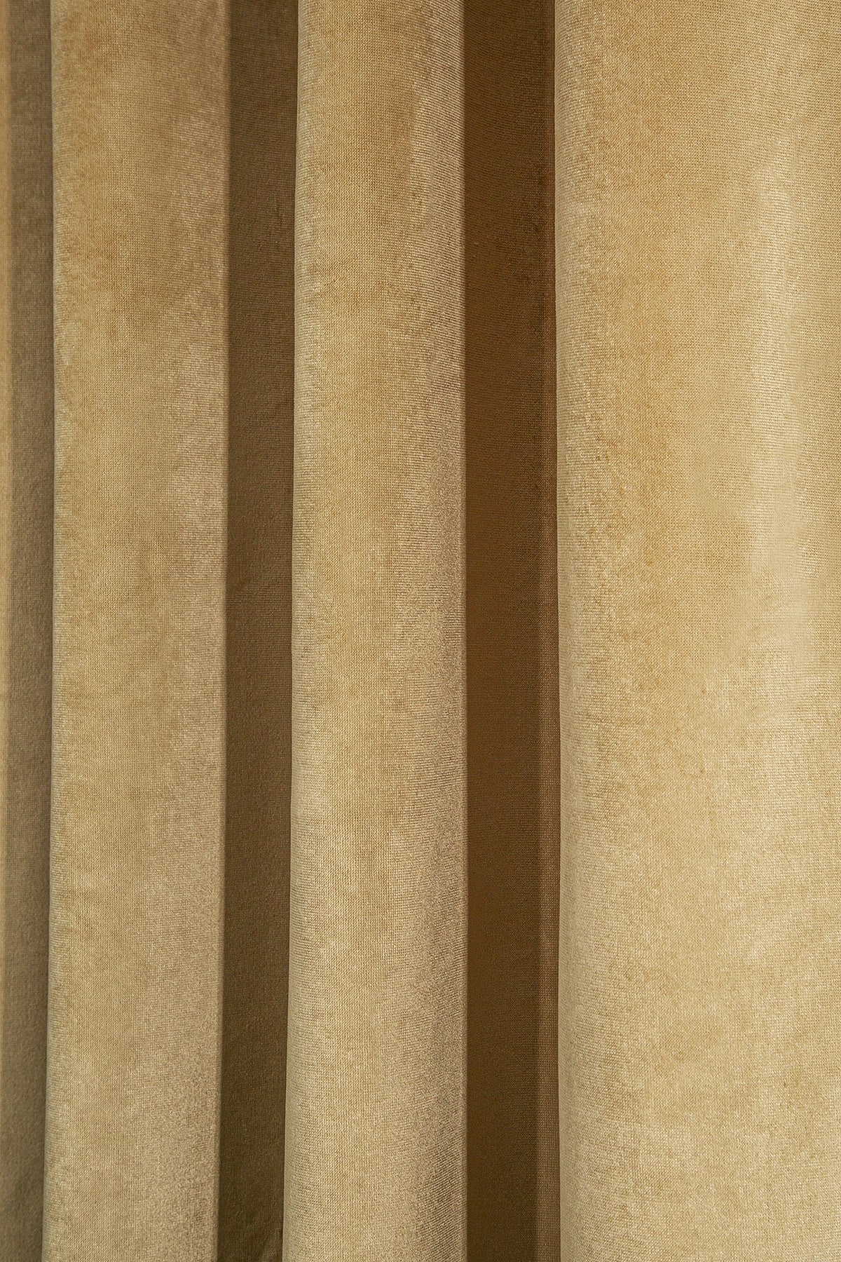 Kadife Halkalı Fon Perde Gold 140x260